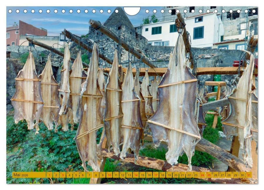 InsideView 10
