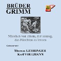 Cover-Bild zum Titel 'Märchen von einem, der auszog, das Fürchten zu lernen' von 'Brüder Grimm'