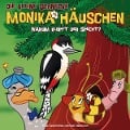 26: Warum klopft der Specht? - Die Kleine Schnecke Monika Häuschen