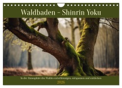 Cover-Bild zum Titel 'Waldbaden - Shinrin Yoku (Wandkalender 2026 DIN A4 quer), CALVENDO Monatskalender' von 'Claudia Kleemann'