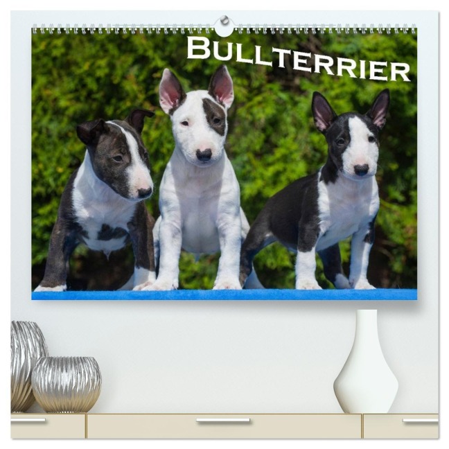 Bullterrier (hochwertiger Premium Wandkalender 2026 DIN A2 quer), Kunstdruck in Hochglanz - Bullterrier Bullterrier