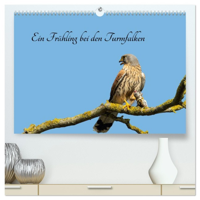 Ein Frühjahr bei den Turmfalken (hochwertiger Premium Wandkalender 2026 DIN A2 quer), Kunstdruck in Hochglanz - Ruth Namuth