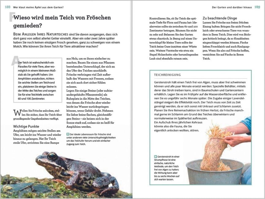 InsideView 12