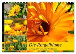 Cover-Bild zum Titel 'Die Ringelblume. Sonnengelbe, vielseitige Heilpflanze (Wandkalender 2026 DIN A3 quer), CALVENDO Monatskalender' von 'Rose Hurley'