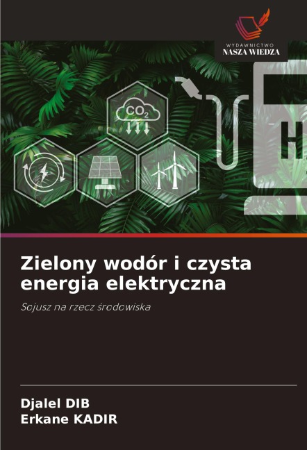 Zielony wodór i czysta energia elektryczna - Djalel Dib, Erkane Kadir