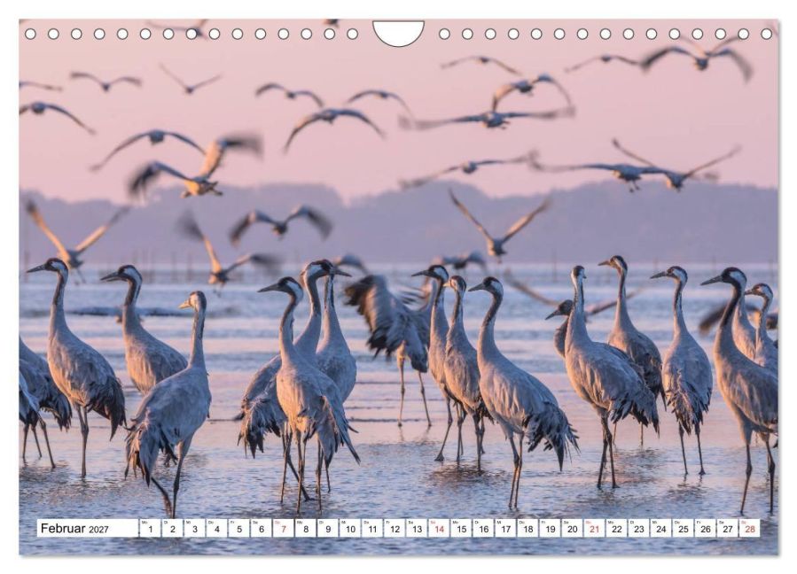 InsideView 7