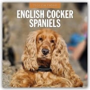 English Cocker Spaniels - Englisch Cocker Spaniel 2026 - 16-Monatskalender - Robin Red