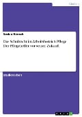 Das Schulrecht im Arbeitsbereich Pflege. Der Pflegehelfer vor seiner Zukunft - Saskia Hönsch