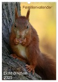 Eichhörnchen (Wandkalender 2025 DIN A3 hoch), CALVENDO Monatskalender - SchnelleWelten SchnelleWelten