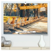 Sitz, Platz, Spül - Hunde auf dem Thron (hochwertiger Premium Wandkalender 2025 DIN A2 quer), Kunstdruck in Hochglanz - Mb Fotografie