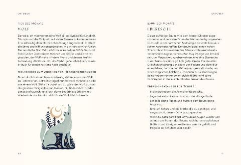 InsideView 8