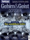 Cover-Bild zum Titel 'Gehirn&Geist Dossier - Das wandelbare Gehirn' von 'Spektrum der Wissenschaft Verlagsgesellschaft'