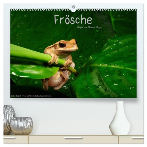 Frösche (hochwertiger Premium Wandkalender 2024 DIN A2 quer), Kunstdruck in Hochglanz - Benny Trapp