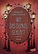 Cover-Bild zum Titel 'Wo das Dunkel schläft (Band 4)' von 'Maggie Stiefvater'