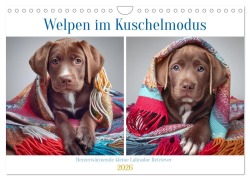 Cover-Bild zum Titel 'Welpen im Kuschelmodus - Herzerwärmende kleine Labrador Retriever (Wandkalender 2026 DIN A4 quer), CALVENDO Monatskalender' von 'Fotodesign Verena Scholze'