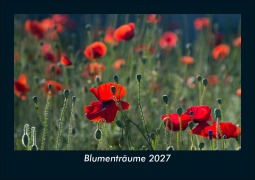 Cover-Bild zum Titel 'Blumenträume 2027 Fotokalender DIN A5' von 'Tobias Schmitt, Kevin Heber'