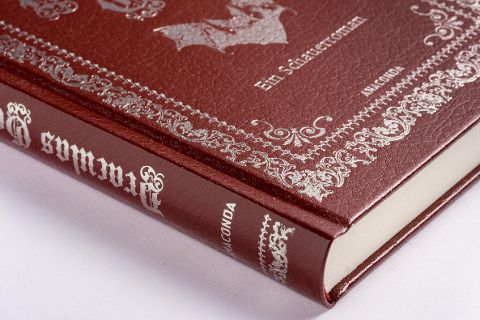 InsideView 6