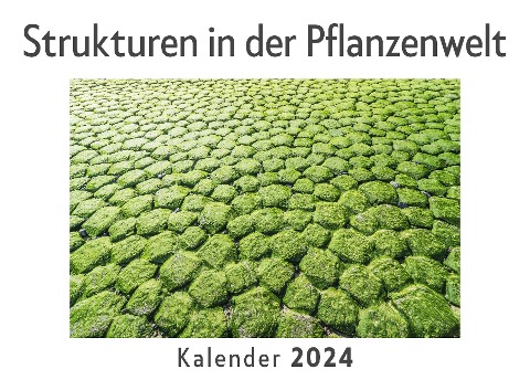 Strukturen in der Pflanzenwelt (Wandkalender 2024, Kalender DIN A4 quer, Monatskalender im Querformat mit Kalendarium, Das perfekte Geschenk) - Anna Müller