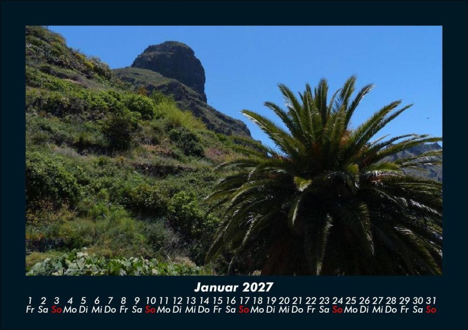 InsideView 5
