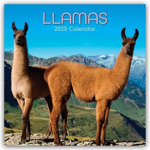 Llamas - Lamas 2025 - 12-Monatskalender - Gifted Stationery Co. Ltd