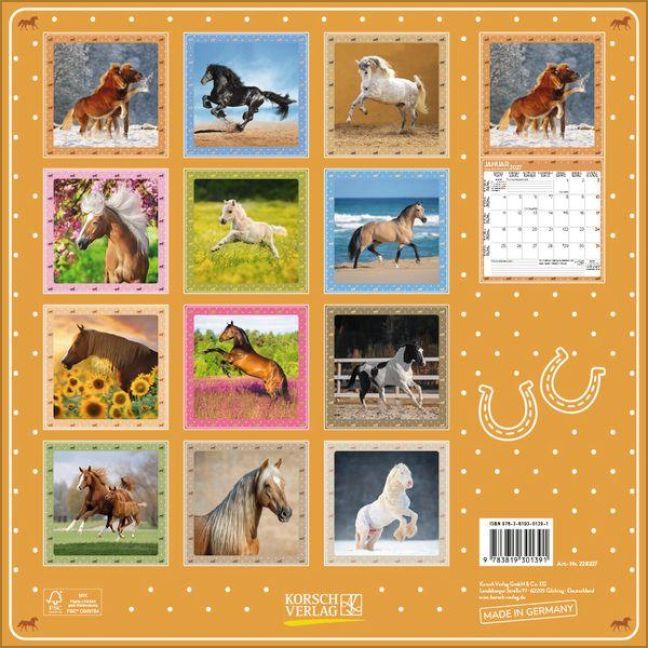 InsideView 13
