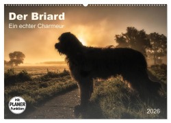 Cover-Bild zum Titel 'Der Briard 2026 - Ein echter Charmeur (Wandkalender 2026 DIN A2 quer), CALVENDO Monatskalender' von 'Sonja Teßen'