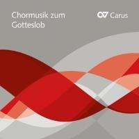 Musik zum Gotteslob - Figuralchor Köln/Kölner Dommusik/Limburger Domchor