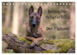 Cover-Bild zum Titel 'Belgischer Schäferhund - Der Malinois (Tischkalender 2026 DIN A5 quer), CALVENDO Monatskalender' von 'Tanja Brandt'