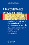 Citoarchitettonica cerebrale umana - 