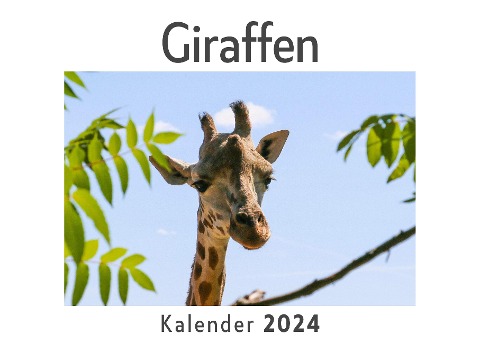 Giraffen (Wandkalender 2024, Kalender DIN A4 quer, Monatskalender im Querformat mit Kalendarium, Das perfekte Geschenk) - Anna Müller