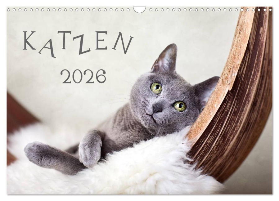 Katzen 2026 (Wandkalender 2026 DIN A3 quer), CALVENDO Monatskalender - Nailia Schwarz