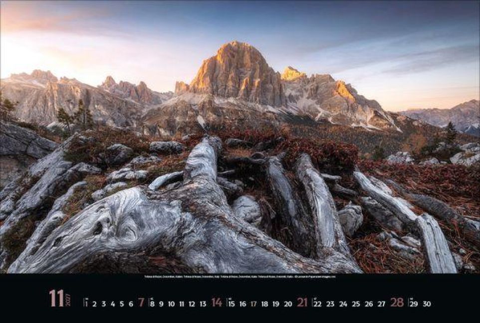 InsideView 11