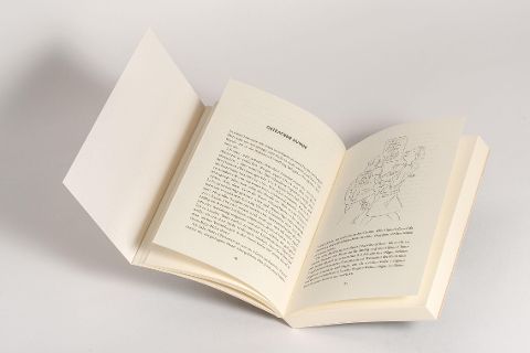 InsideView 6
