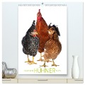 Kunterbunte Hühner Truppe (hochwertiger Premium Wandkalender 2024 DIN A2 hoch), Kunstdruck in Hochglanz - Judith Kiener - DoraZett