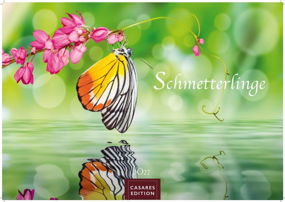 Schmetterlinge Kalender 2027 - Wandkalender | Fotokalender Tierkalender 35x50cm Grosses Format - Mit wunderschönen, detailreichen Bildern von Schmetterlingen. - 