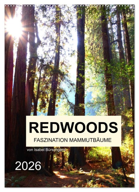 Redwoods - Faszination Mammutbäume (Wandkalender 2026 DIN A2 hoch), CALVENDO Monatskalender - Isabel Bürschgens