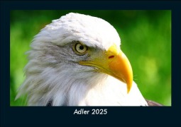 Cover-Bild zum Titel 'Adler 2025 Fotokalender DIN A5' von 'Tobias Becker'