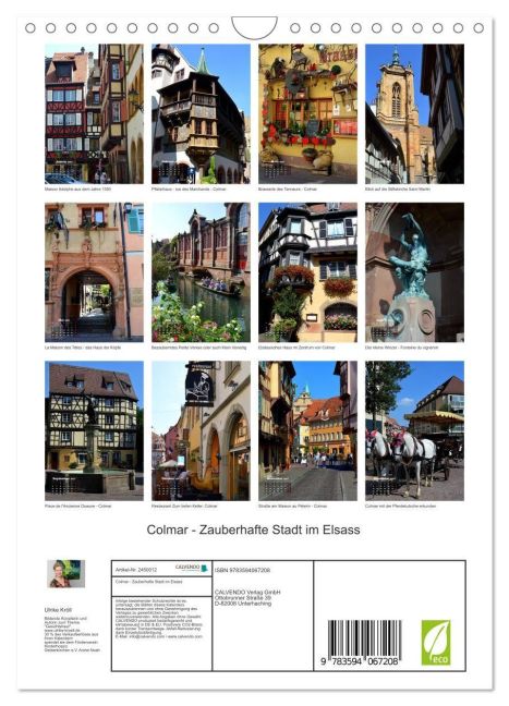 InsideView 5