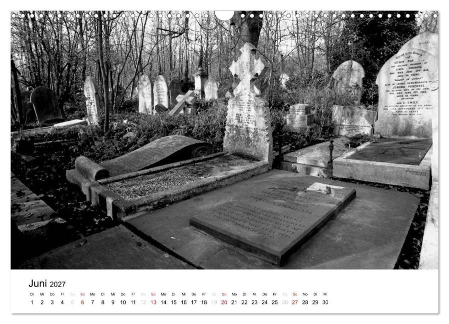InsideView 11