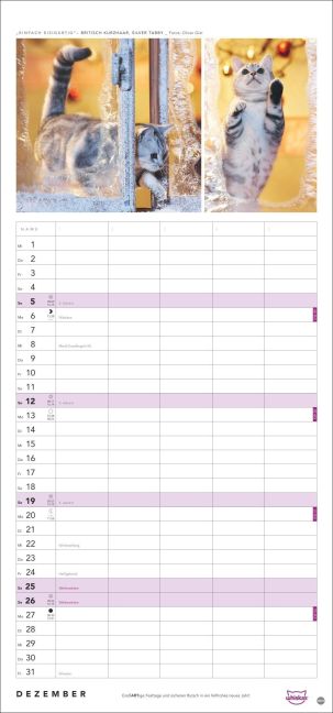InsideView 12