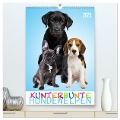 Kunterbunte Hundewelpen (hochwertiger Premium Wandkalender 2025 DIN A2 hoch), Kunstdruck in Hochglanz - Judith Dzierzawa - DoraZett