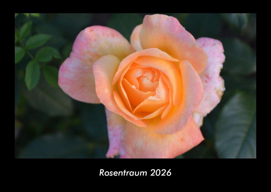 Rosentraum 2026 Fotokalender DIN A3 - Tobias Becker