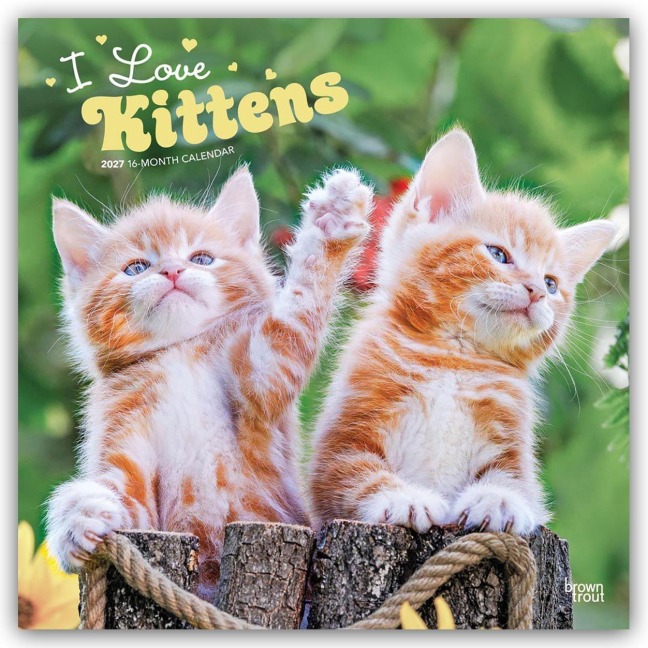 I Love Kittens - Ich liebe Katzenbabys 2027 - 16-Monatskalender - Browntrout Publishers