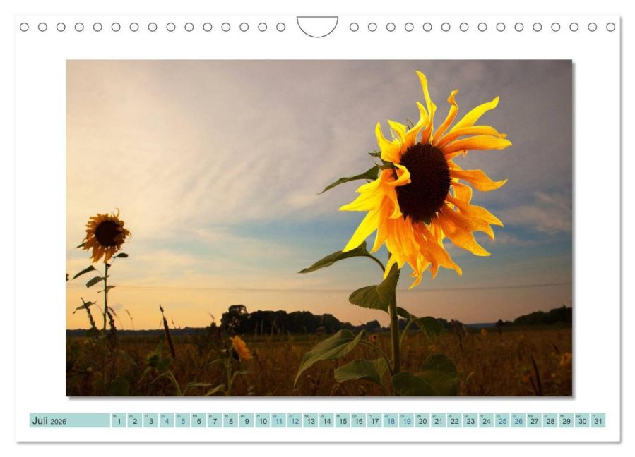 InsideView 12