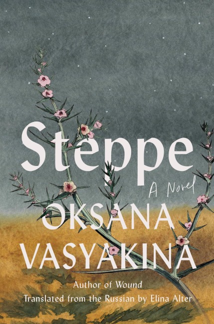 Steppe - Oksana Vasyakina