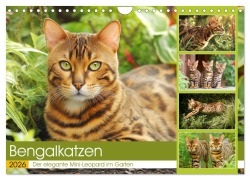 Cover-Bild zum Titel 'Bengalkatzen. Der elegante Mini-Leopard im Garten (Wandkalender 2026 DIN A4 quer), CALVENDO Monatskalender' von 'Rose Hurley'