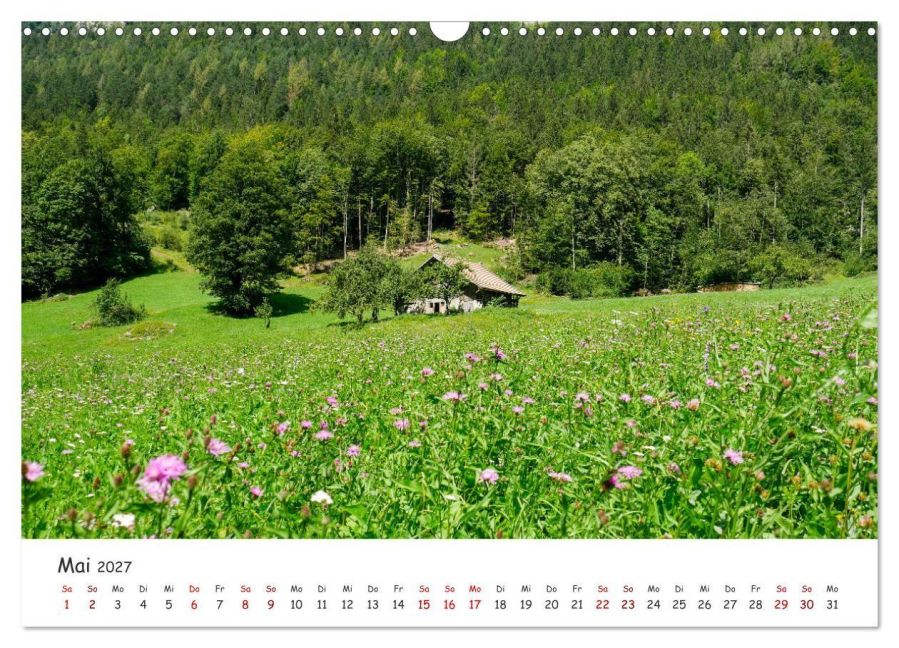 InsideView 10