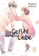 Cover-Bild zum Titel 'Ein Gefühl namens Liebe 11' von 'Megumi Morino'
