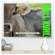 Cover-Bild zum Titel 'Voll kuhl - der Kuhkalender mit Kühen aus dem Allgäu (hochwertiger Premium Wandkalender 2026 DIN A2 quer), Kunstdruck in Hochglanz' von 'Bihlmayer-Media Bihlmayer-Media'