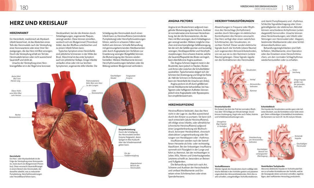 InsideView 7